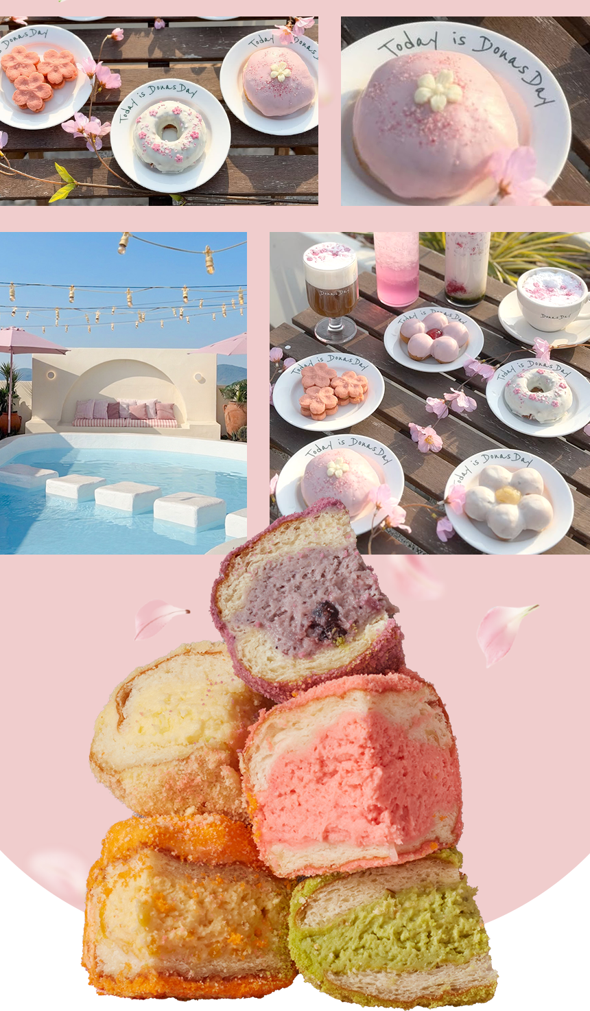 42ae653c02023095acda705e60342f11_1775101622_66.png 42ae653c02023095acda705e60342f11_1775101622_66.png